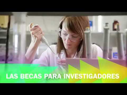 Becas Marie Curie