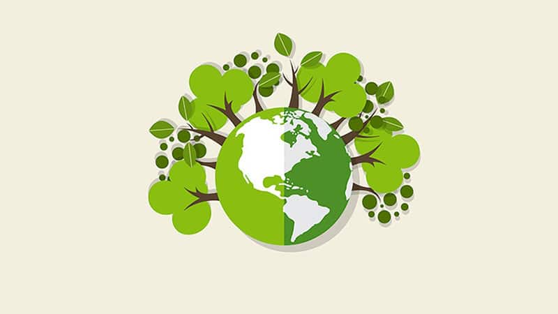 Curso básico de ecología y medio ambiente