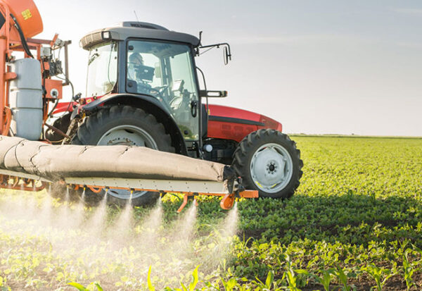 Subsidio Agrario en Andalucía y Extremadura